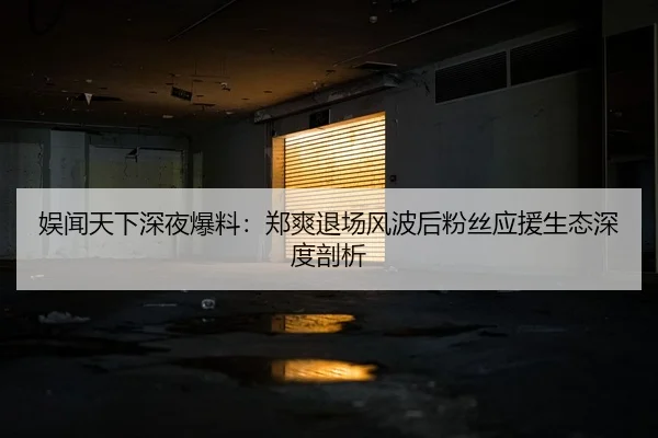 娱闻天下深夜爆料：郑爽退场风波后粉丝应援生态深度剖析
